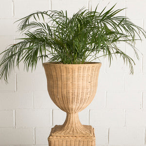 Rattan Urn and Pedestal (Small)